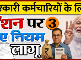 New Pension Rules: अब इन कर्मचारियों को नहीं मिलेगी पेंशन, बदल गए हैं पेंशन नियम.