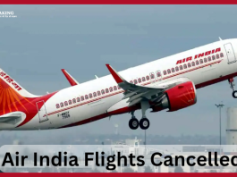 Air India Flights Cancelled : 8 flights of Air India got cancelled simultaneously, this is the big reason