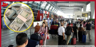 Air Travel Cash Limit: Air passengers will no longer be able to carry this much cash during travel, know the rules Air Travel Cash Limit: Air passengers will no longer be able to carry this much cash during travel, know the rules