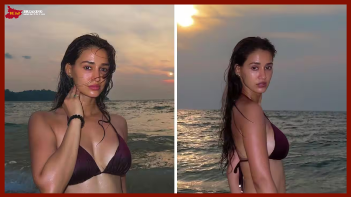 Bollywood actress Disha Patani shared pictures in bikini while enjoying vacation, people went crazy after seeing the pictures Bollywood actress Disha Patani shared pictures in bikini while enjoying vacation, people went crazy after seeing the pictures