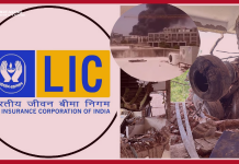 LIC’s big announcement! Victims’ families will get claim immediately LIC's big announcement! Victims' families will get claim immediately