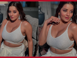 Bhojpuri actress Monalisa's latest pictures are making waves, fans are crazy about her