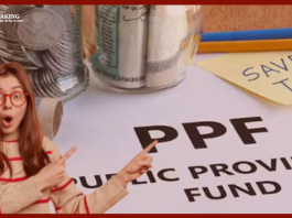 PPF में हर साल 1 लाख रुपये निवेश करें तो 15 साल में कितना मिलेगा रिटर्न! ये है कैलकुलेशन
