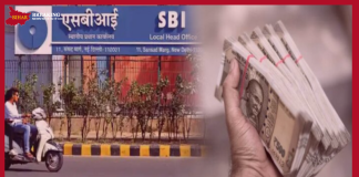 SBI FD Rates : State Bank cuts FD interest rates, know how much interest you will get now SBI FD Rates : State Bank cuts FD interest rates, know how much interest you will get now