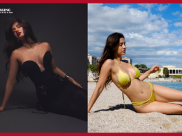 Disha Patani shared bold pictures in a black deep neck dress, created a ruckus on the internet