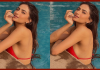 Palak Tiwari gave bold poses in bikini at the age of 24, fans were left sweating after seeing the pictures Palak Tiwari gave bold poses in bikini at the age of 24, fans were left sweating after seeing the pictures