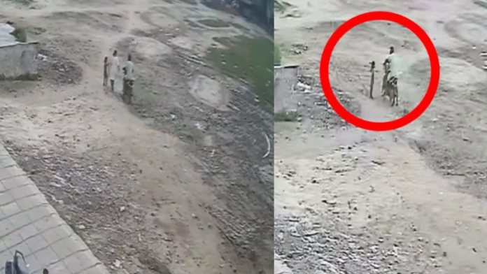 Watch Video: Girl kidnapped in broad daylight in Bihar, see in the video how he picked her up in his lap and ran away with her on a bike Watch Video: Girl kidnapped in broad daylight in Bihar, see in the video how he picked her up in his lap and ran away with her on a bike
