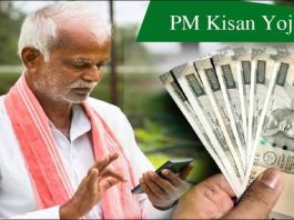 PM Kisan 20th Installment : These 6 tasks are necessary to get the 20th installment of PM Kisan, otherwise the payment may stop