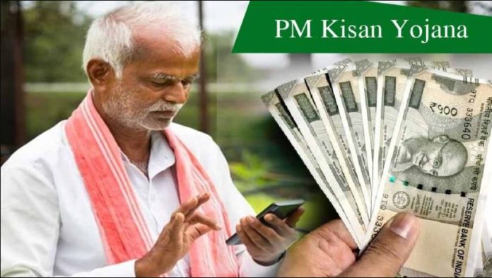 PM Kisan 20th Installment : These 6 tasks are necessary to get the 20th installment of PM Kisan, otherwise the payment may stop PM Kisan 20th Installment : These 6 tasks are necessary to get the 20th installment of PM Kisan, otherwise the payment may stop