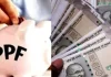 PPF Interest Rate 2025 : How much interest is being received for the July-September quarter, great opportunity for high returns! PPF Interest Rate 2025 : How much interest is being received for the July-September quarter, great opportunity for high returns!