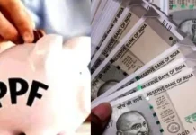 PPF Interest Rate 2025 : How much interest is being received for the July-September quarter, great opportunity for high returns! PPF Interest Rate 2025 : How much interest is being received for the July-September quarter, great opportunity for high returns!