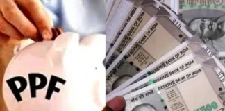 PPF Interest Rate 2025 : How much interest is being received for the July-September quarter, great opportunity for high returns! PPF Interest Rate 2025 : How much interest is being received for the July-September quarter, great opportunity for high returns!