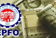 EPFO Membership Update! For how long do you get interest on money deposited in PF after you lose your job? Know what the rule says EPFO Membership Update! For how long do you get interest on money deposited in PF after you lose your job? Know what the rule says