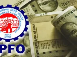 EPFO Membership Update! For how long do you get interest on money deposited in PF after you lose your job? Know what the rule says
