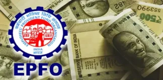 EPFO Membership Update! For how long do you get interest on money deposited in PF after you lose your job? Know what the rule says EPFO Membership Update! For how long do you get interest on money deposited in PF after you lose your job? Know what the rule says