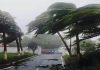 Bihar Rain Alert : Caution! Monsoon wreaks havoc in Bihar, torrential rains cause flood-like situation, IMD alert Bihar Rain Alert : Caution! Monsoon wreaks havoc in Bihar, torrential rains cause flood-like situation, IMD alert
