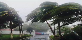 Bihar Rain Alert : Caution! Monsoon wreaks havoc in Bihar, torrential rains cause flood-like situation, IMD alert Bihar Rain Alert : Caution! Monsoon wreaks havoc in Bihar, torrential rains cause flood-like situation, IMD alert