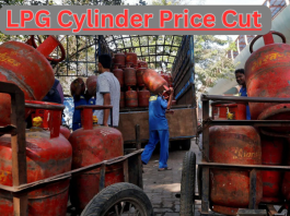 LPG Cylinder Price Cut: Big relief! Commercial cylinder became cheaper by Rs 33.50, know the price in your city