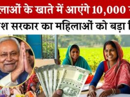 Mahila Rojgar Yojana : Bihar CM Nitish Kumar's big gift to women, ₹10,000 deposited in accounts under Mahila Rojgar Yojana, know how to apply?