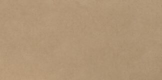 गया में रामनवमी जुलूस के लिए सुरक्षा कड़ी गया में रामनवमी जुलूस के लिए सुरक्षा कड़ी