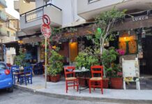 अररिया में रणभूमि बना खेत: दबंगों ने जबरन जोता खेत अररिया में रणभूमि बना खेत: दबंगों ने जबरन जोता खेत