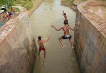 नितीश कुमार: बिहार मंत्री असिस्टेंट प्रोफेसर के रूप में नीतीश कुमार को बिना विरोध जनता दल यूनाइटेड का अध्यक्ष चुना गया