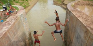 नितीश कुमार: बिहार मंत्री असिस्टेंट प्रोफेसर के रूप में नीतीश कुमार को बिना विरोध जनता दल यूनाइटेड का अध्यक्ष चुना गया