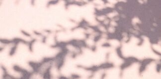 ७वें वेतन आयोग की जगह ८वें वेतन आयोग: ३५% वेतन वृद्धि की उम्मीद ७वें वेतन आयोग की जगह ८वें वेतन आयोग: ३५% वेतन वृद्धि की उम्मीद