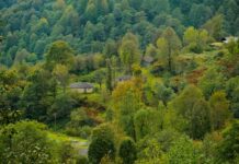 चम्पारन: एक ऐतिहासिक शहर की वर्तमान स्थिति चम्पारन: एक ऐतिहासिक शहर की वर्तमान स्थिति