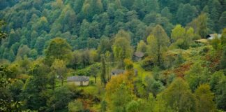 चम्पारन: एक ऐतिहासिक शहर की वर्तमान स्थिति चम्पारन: एक ऐतिहासिक शहर की वर्तमान स्थिति