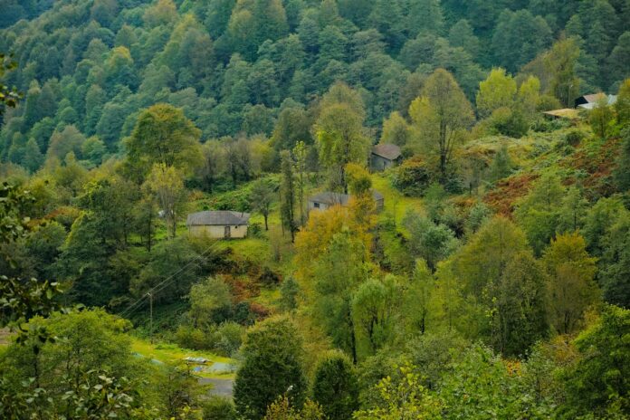 चम्पारन: एक ऐतिहासिक शहर की वर्तमान स्थिति चम्पारन: एक ऐतिहासिक शहर की वर्तमान स्थिति