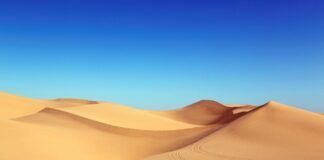 आधार कार्ड की सत्यता की जांच करें: यूआईडीएआई ने नई विशेषता शुरू की आधार कार्ड की सत्यता की जांच करें: यूआईडीएआई ने नई विशेषता शुरू की