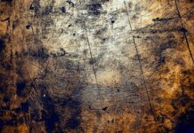 आधार कार्ड धारकों के लिए महत्वपूर्ण जानकारी: अपने आधार प्रमाणीकरण इतिहास की जांच करें आधार कार्ड धारकों के लिए महत्वपूर्ण जानकारी: अपने आधार प्रमाणीकरण इतिहास की जांच करें