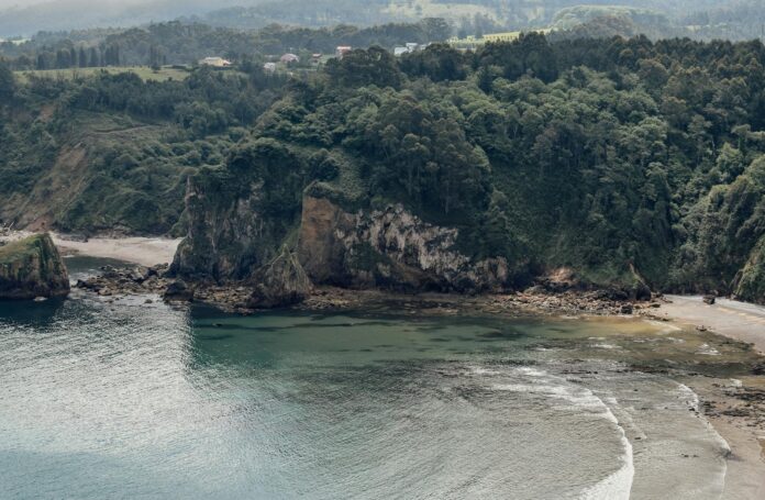 बक्सर में राम नवमी की शاندार मनायी गयी