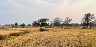 साहेबगंज में 4 लोगों की मौत, सहarsा और पटना में 2 और मौतें साहेबगंज में 4 लोगों की मौत, सहarsा और पटना में 2 और मौतें