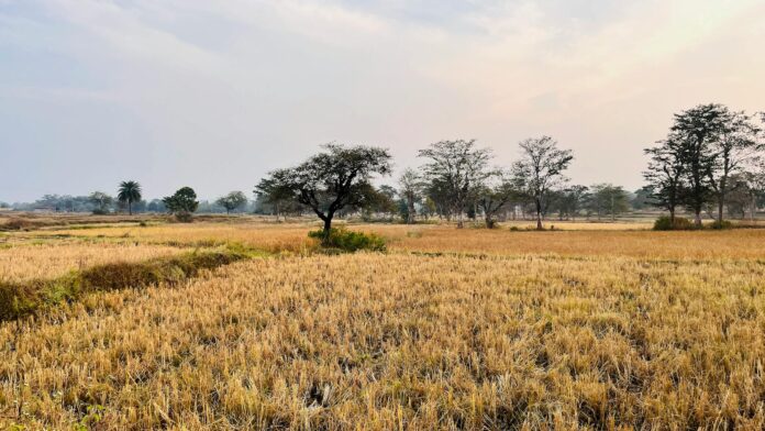 साहेबगंज में 4 लोगों की मौत, सहarsा और पटना में 2 और मौतें