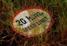 पटना में 31 मार्च तक बारिश और आंधी की संभावना पटना में 31 मार्च तक बारिश और आंधी की संभावना