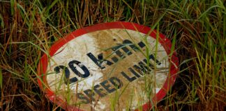 पटना में 31 मार्च तक बारिश और आंधी की संभावना पटना में 31 मार्च तक बारिश और आंधी की संभावना