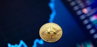 एफडी दरें स्थिर, निवेशक पीपीएफ की तुलना में एफडी दरें स्थिर, निवेशक पीपीएफ की तुलना में