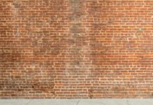 गया में महाबोधि मंदिर की सफाई कार्य से एएसआई टीम संतुष्ट गया में महाबोधि मंदिर की सफाई कार्य से एएसआई टीम संतुष्ट