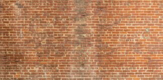 गया में महाबोधि मंदिर की सफाई कार्य से एएसआई टीम संतुष्ट गया में महाबोधि मंदिर की सफाई कार्य से एएसआई टीम संतुष्ट