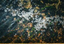 बेगूसराय में रेत खनन विवाद में आदमी की पीट-पीटकर हत्या बेगूसराय में रेत खनन विवाद में आदमी की पीट-पीटकर हत्या