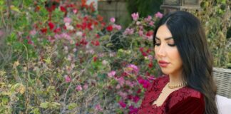 आरा शहर: बिहार का एक महत्वपूर्ण शहर आरा शहर: बिहार का एक महत्वपूर्ण शहर