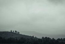 बिहार दिवस: मलेशिया में उत्साह के साथ मनाया गया बिहार दिवस: मलेशिया में उत्साह के साथ मनाया गया