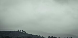 बिहार दिवस: मलेशिया में उत्साह के साथ मनाया गया बिहार दिवस: मलेशिया में उत्साह के साथ मनाया गया