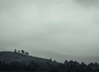 बिहार दिवस: मलेशिया में उत्साह के साथ मनाया गया बिहार दिवस: मलेशिया में उत्साह के साथ मनाया गया