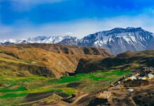 भागलपुर पुलिस ने साइबरफ्रॉड मामले में सीपीएस ऑपरेटर को गिरफ्तार किया भागलपुर पुलिस ने साइबरफ्रॉड मामले में सीपीएस ऑपरेटर को गिरफ्तार किया