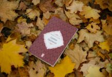 नीतिश कुमार ने विधान परिषद से दिया इस्तीफा नीतिश कुमार ने विधान परिषद से दिया इस्तीफा