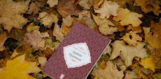 नीतीश कुमार ने विधान परिषद से इस्तीफा दिया नीतिश कुमार ने विधान परिषद से दिया इस्तीफा