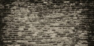 सARKARI नौकरी: यूपी पुलिस एसआई, एएसआई परिणाम 2026 घोषित आधार अपडेट अभियान 2.0 जम्मू-कश्मीर के स्कूलों में